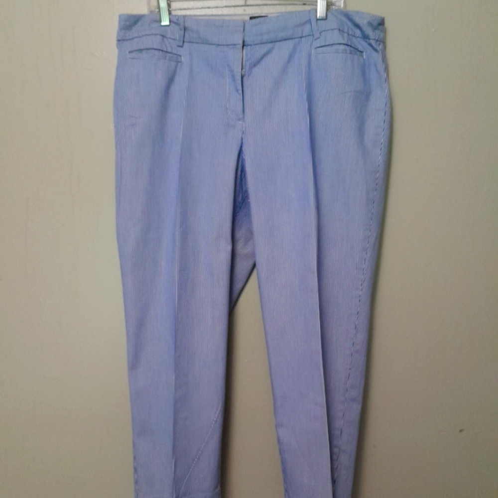 Talbots 16 Blue  and White